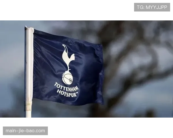 财务简报:热刺公布上季度财报,比赛日收入因欧冠赛事大幅增长 财务简报:热刺公布上季度财报,比赛日收入因欧冠赛事大幅增长